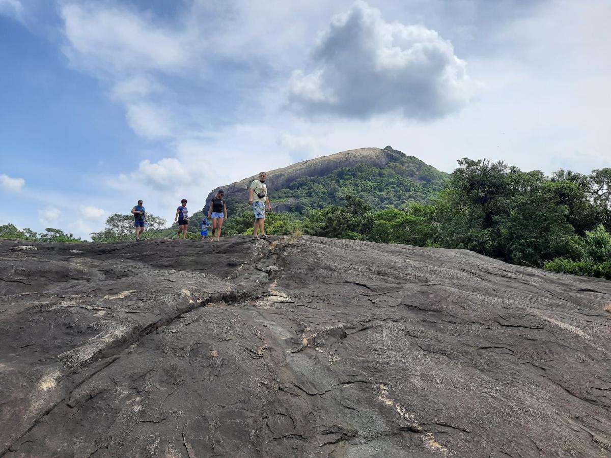 Galaxy View Homestay Sigiriya Exteriör bild