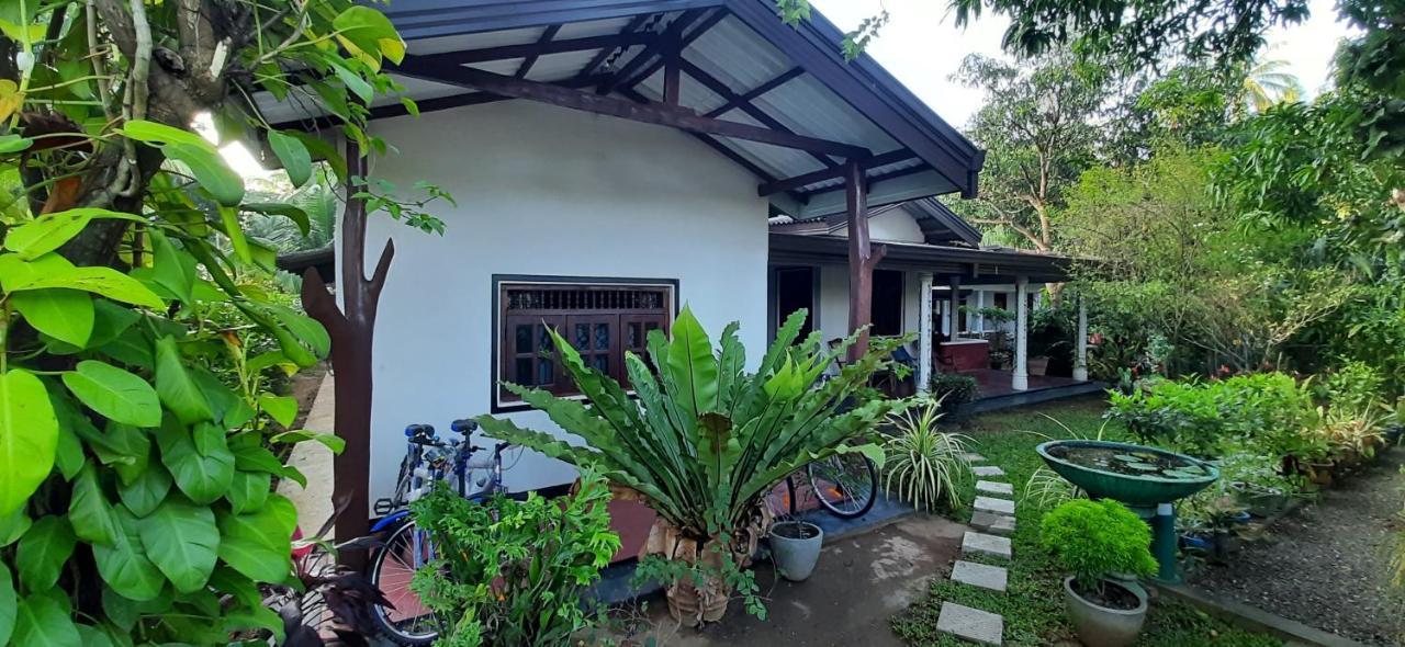 Galaxy View Homestay Sigiriya Exteriör bild