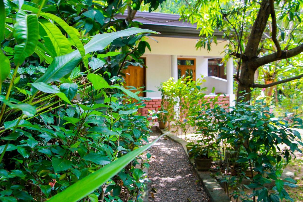 Galaxy View Homestay Sigiriya Exteriör bild