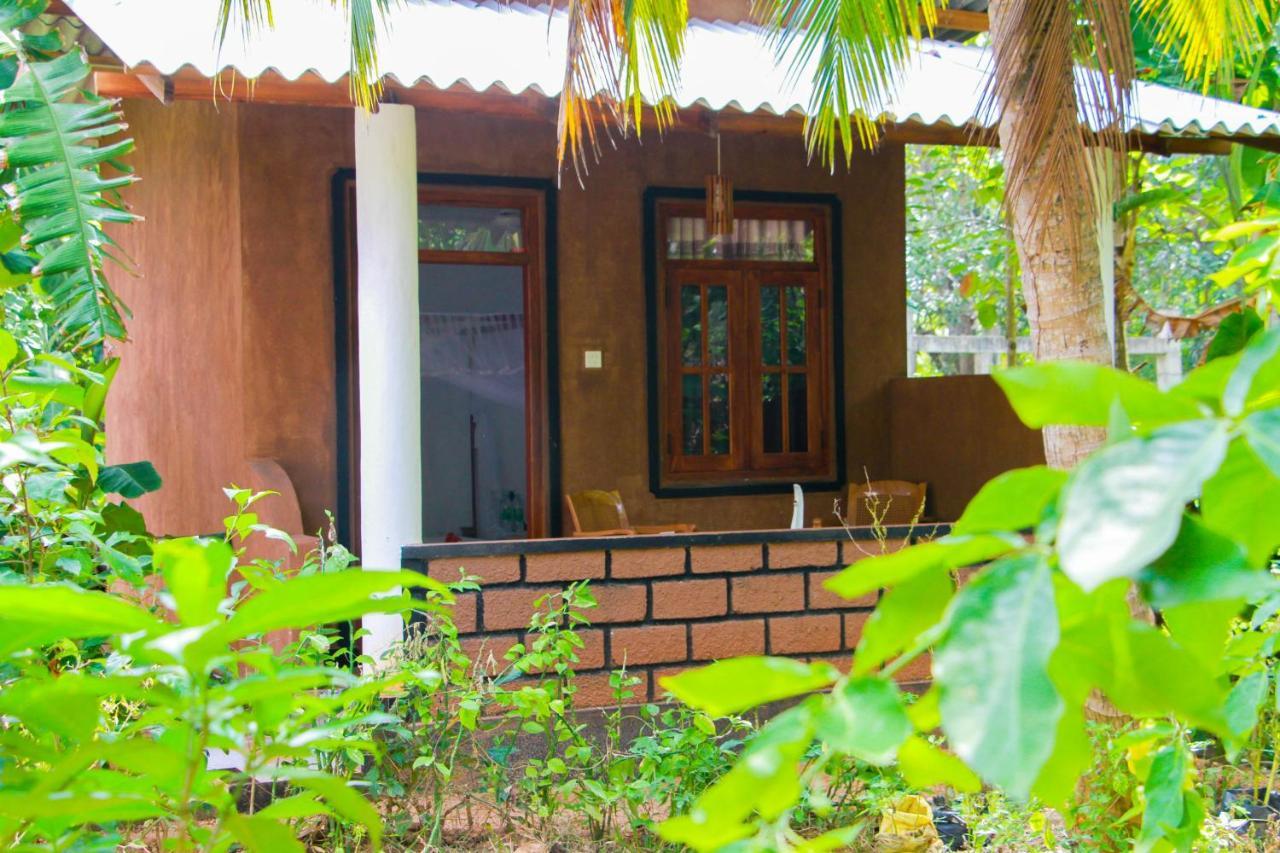 Galaxy View Homestay Sigiriya Exteriör bild
