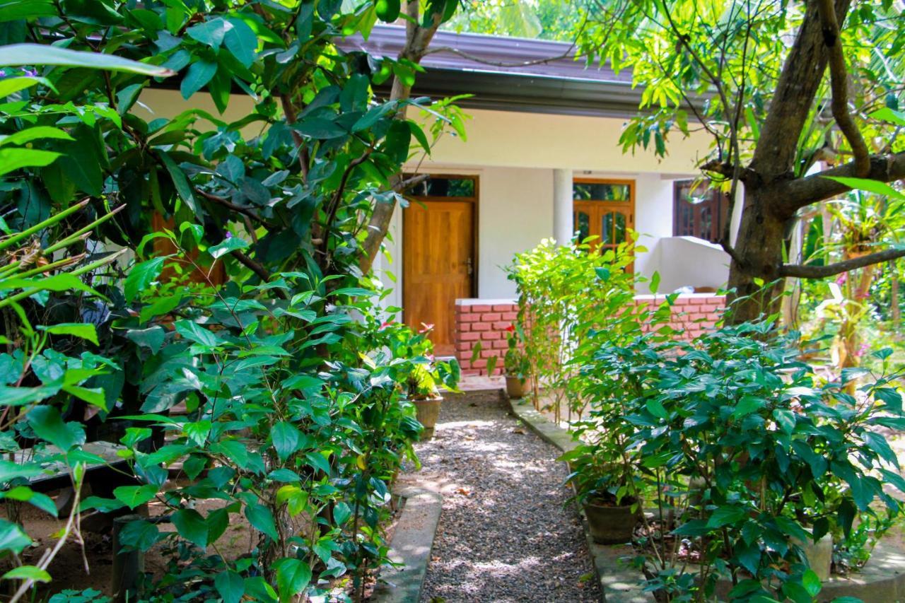 Galaxy View Homestay Sigiriya Exteriör bild
