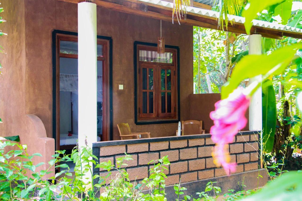 Galaxy View Homestay Sigiriya Exteriör bild