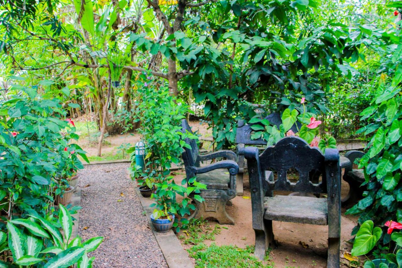 Galaxy View Homestay Sigiriya Exteriör bild