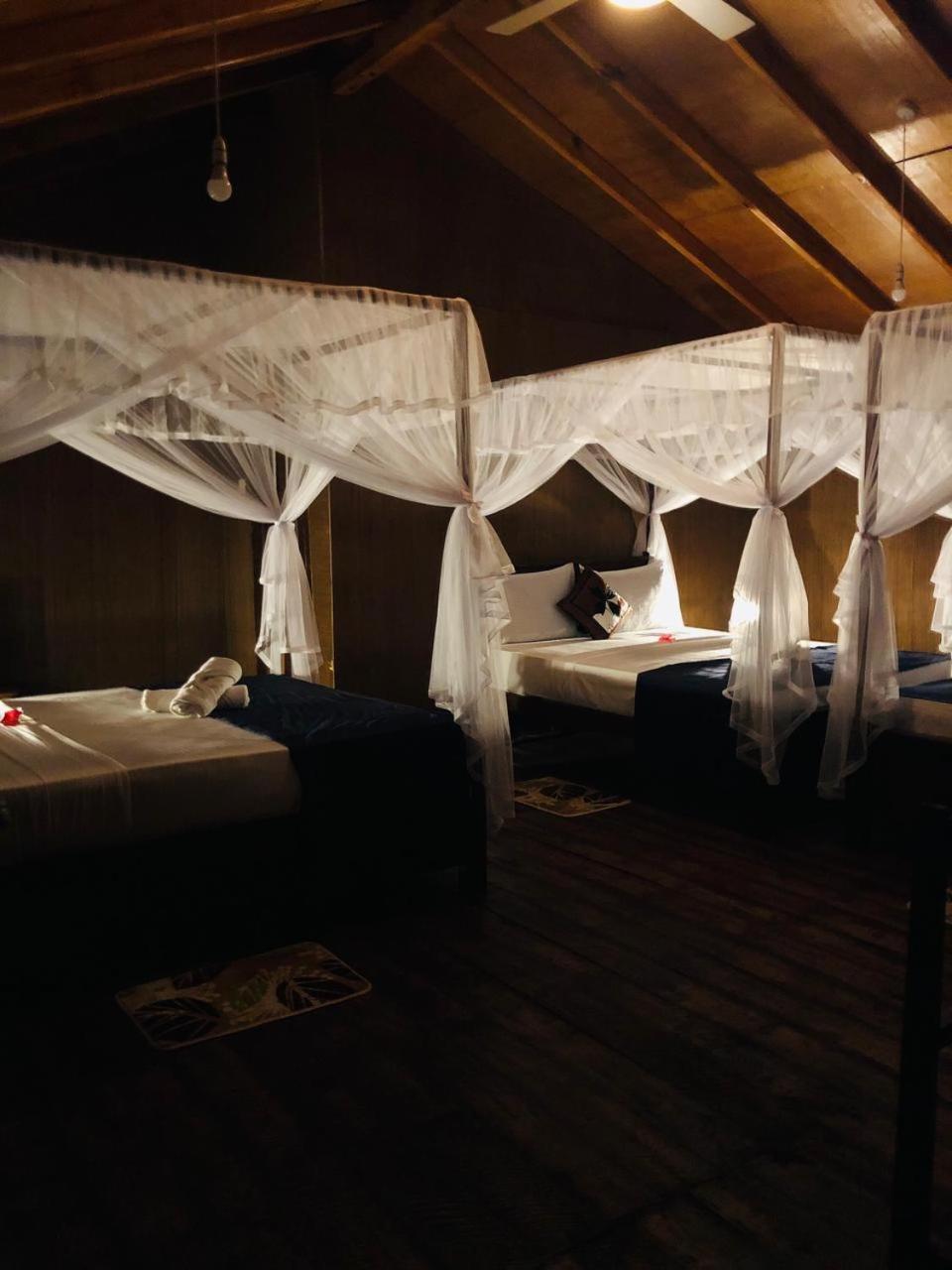 Galaxy View Homestay Sigiriya Exteriör bild